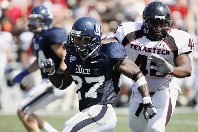 的完美结合 的完美结合